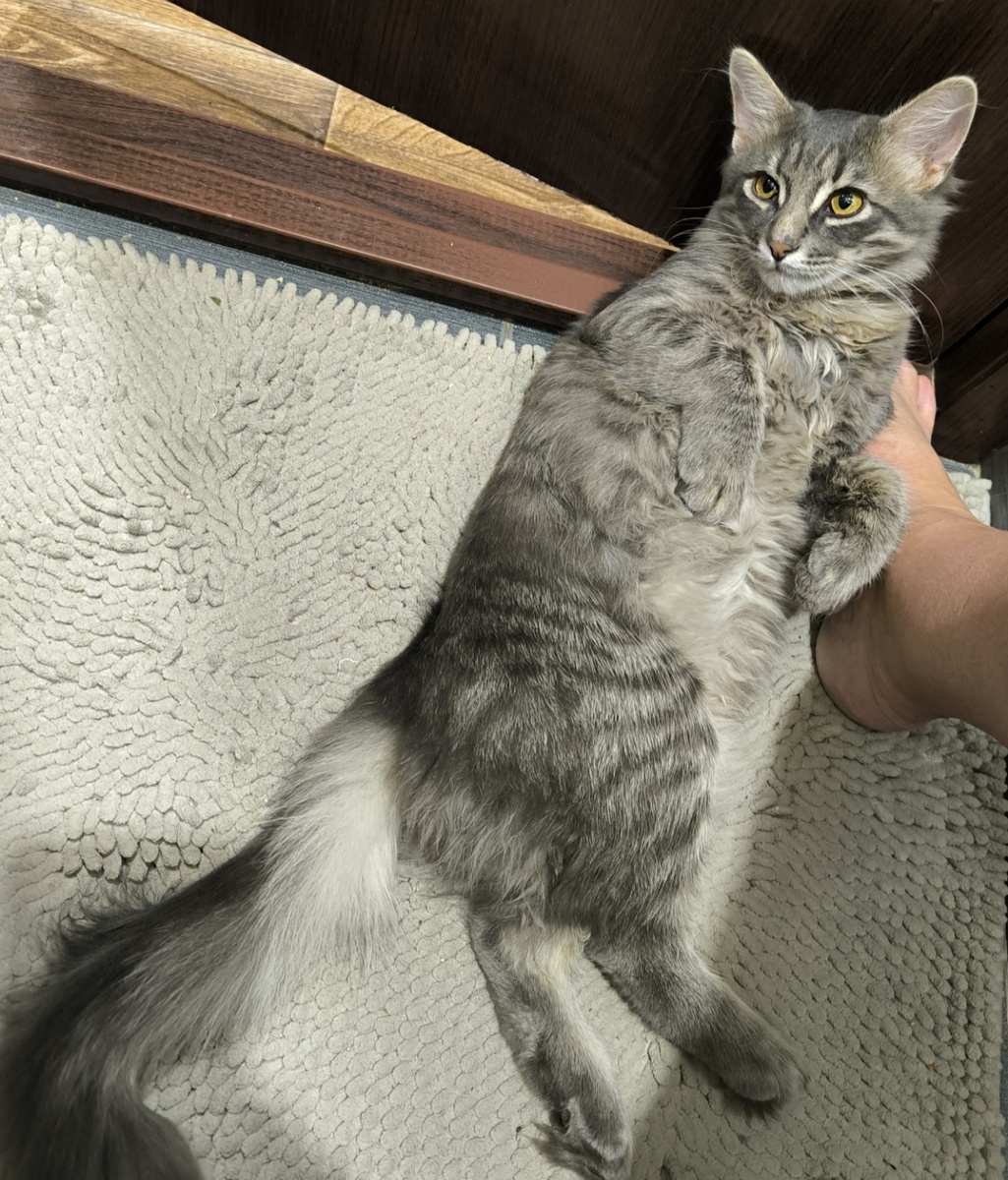 Всё фотографии авторские. 