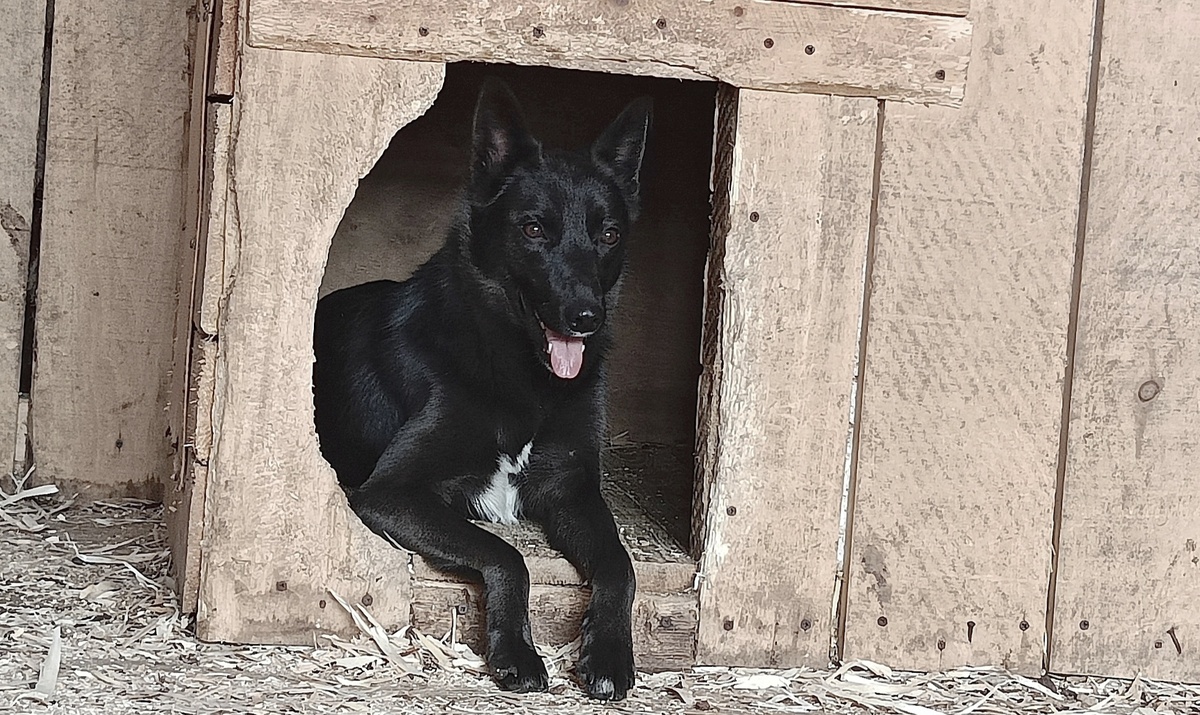 Скромница и красавица.