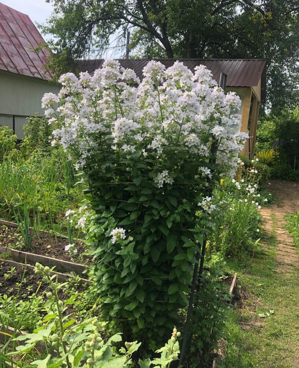 В солнечный день
