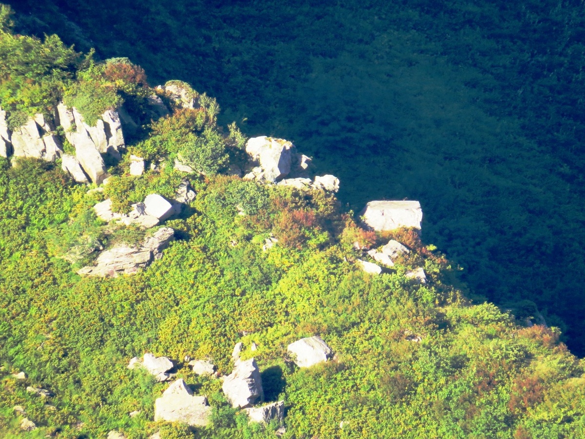 Старинный петроглиф - Гурабский камень.