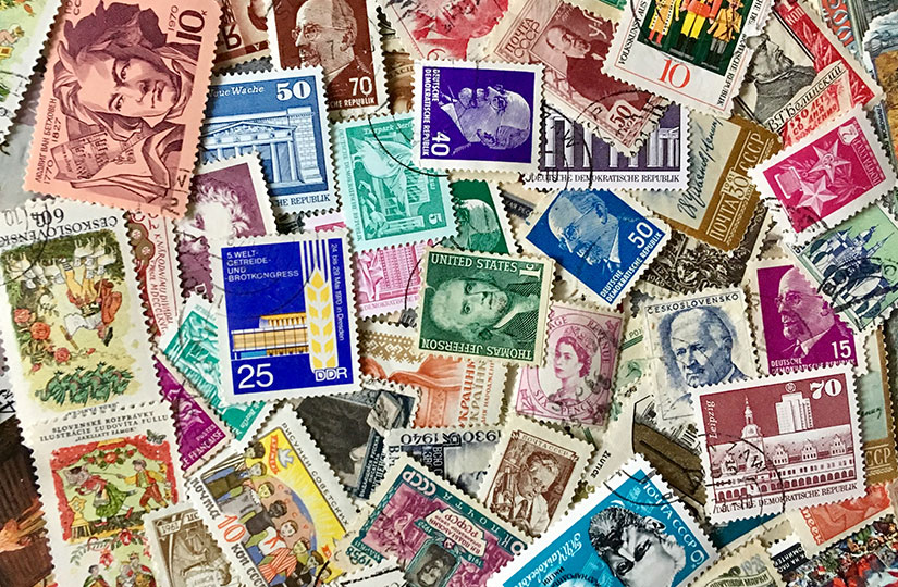 Как выбрать направление для коллекции?