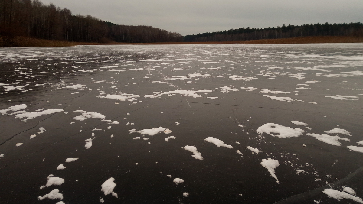     Источник: 1MI