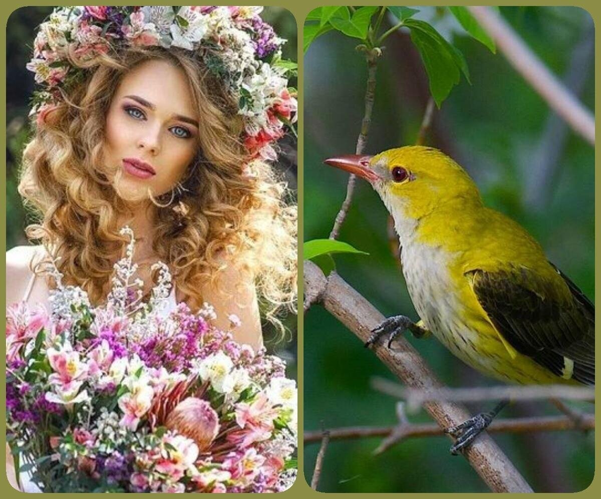 Изображение из открытых источников