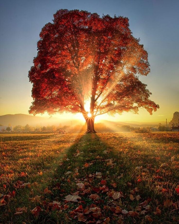 Изображение из открытых источников