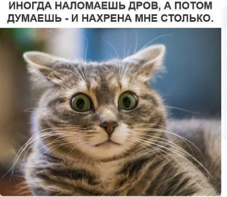 источник Яндекс-картинки