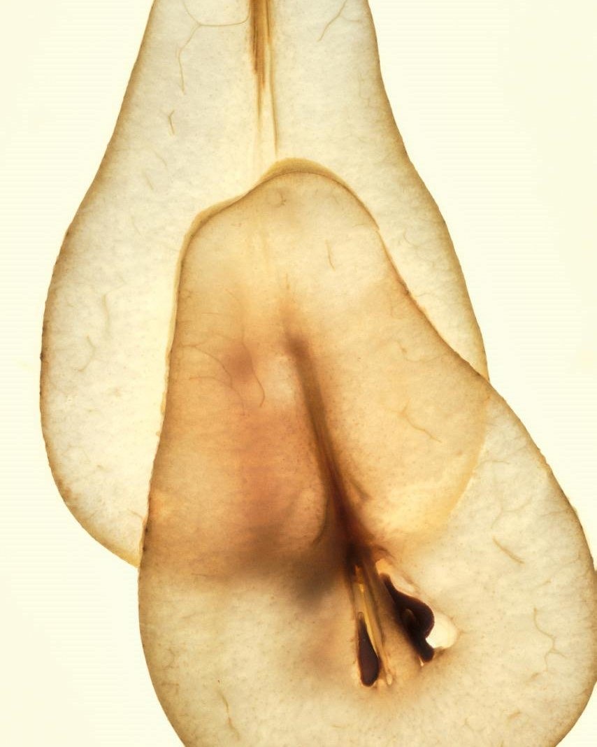 LIMÉ: новый бренд парфюмерии с итальянским акцентом  