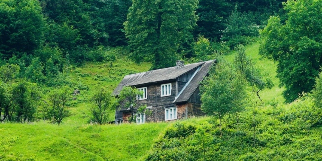 Как приятно сырой и слякотной зимой смотреть на яркое, зелёное лето.