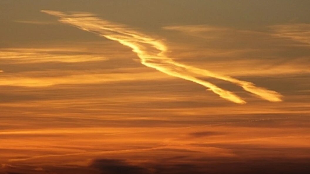    Фото: Victor Lisitsyn/Globallookpress