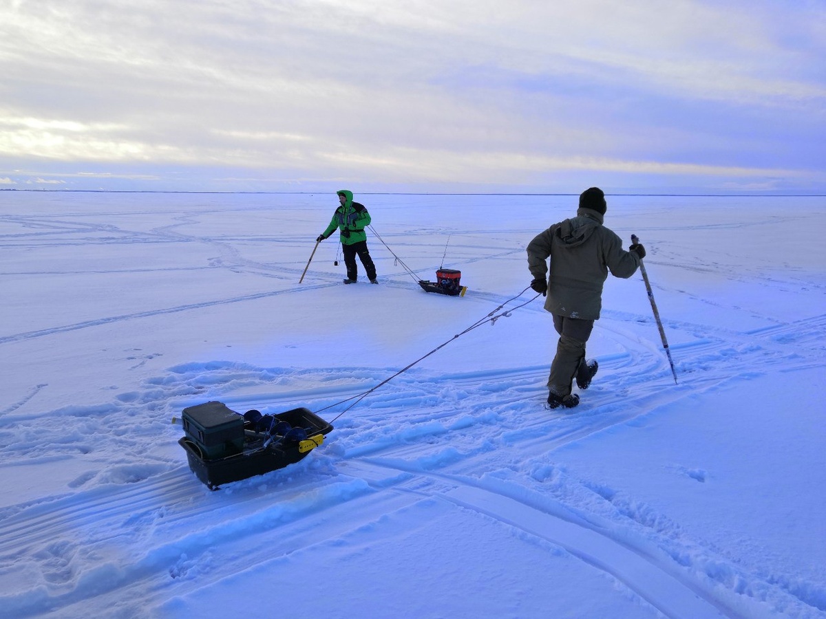 Я иду по безопасному льду, а другой Андрей чуть дальше нашёл пешней лёд 4 см толщиной
