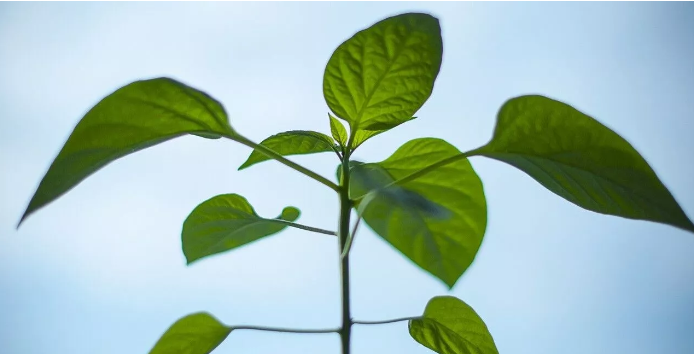 9 факторов успеха для личностного роста – Достигните лучшей жизни