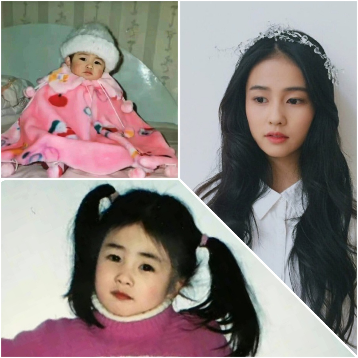 Малышка Бай Лу (коллаж автора, фото из открытых источников в интернете) 