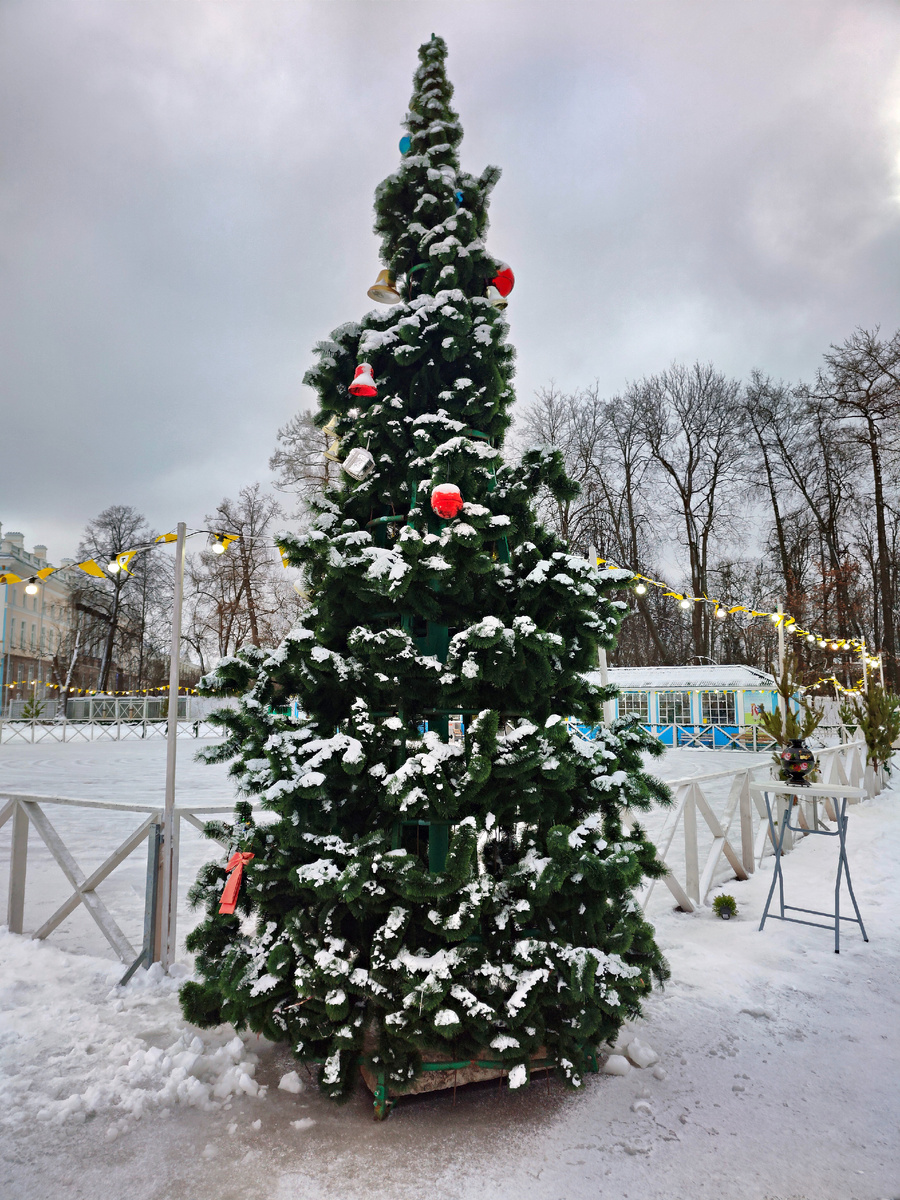 Новогодний каток