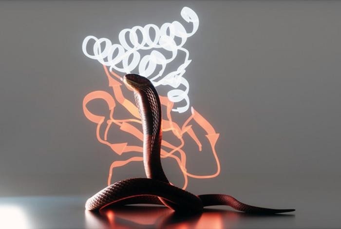    Фото: scientificrussia.ru Георгий