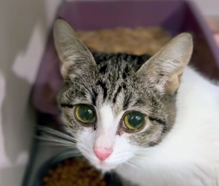 Мари на новом месте