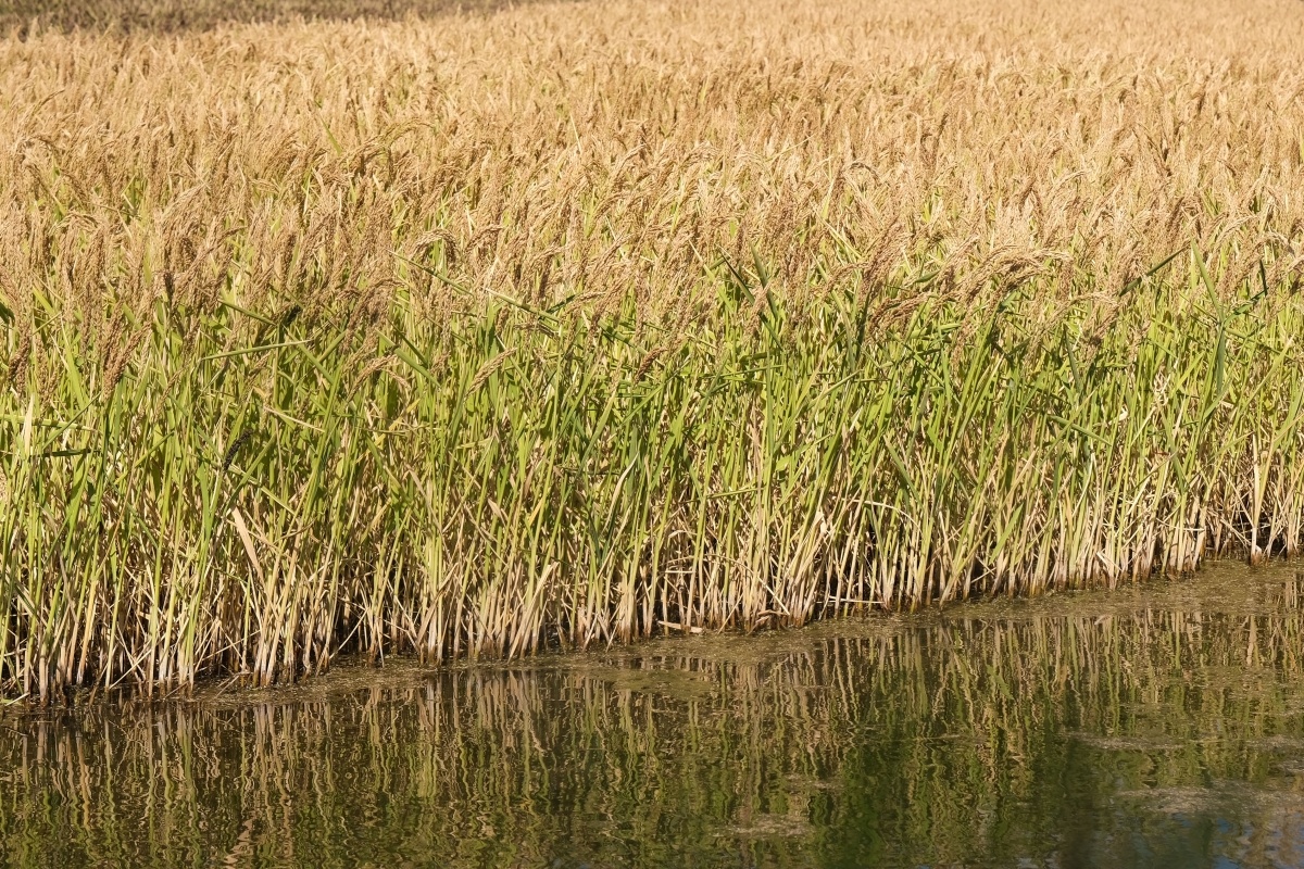 Фото: Михаил Ступин