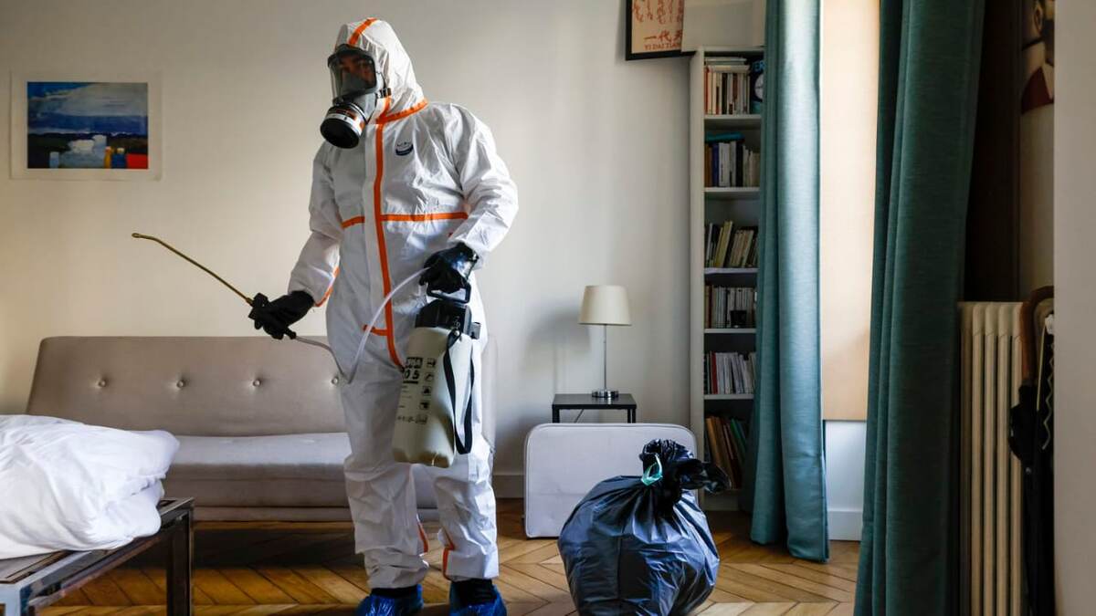 Дезинсекция клопов и тараканов: Как вызвать мастера в Москве