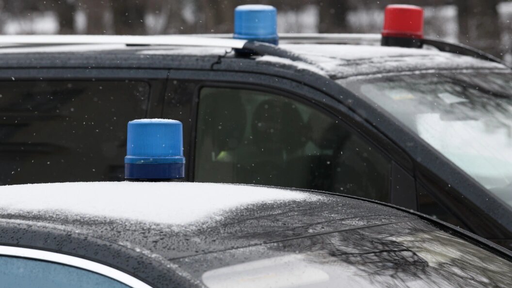    Фото: Ilya Moskovets/Globallookpress