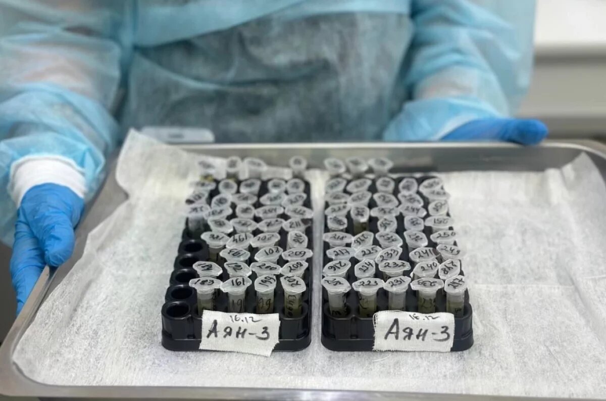    Всех жителей района Хабаровского края обследуют на гепатит C