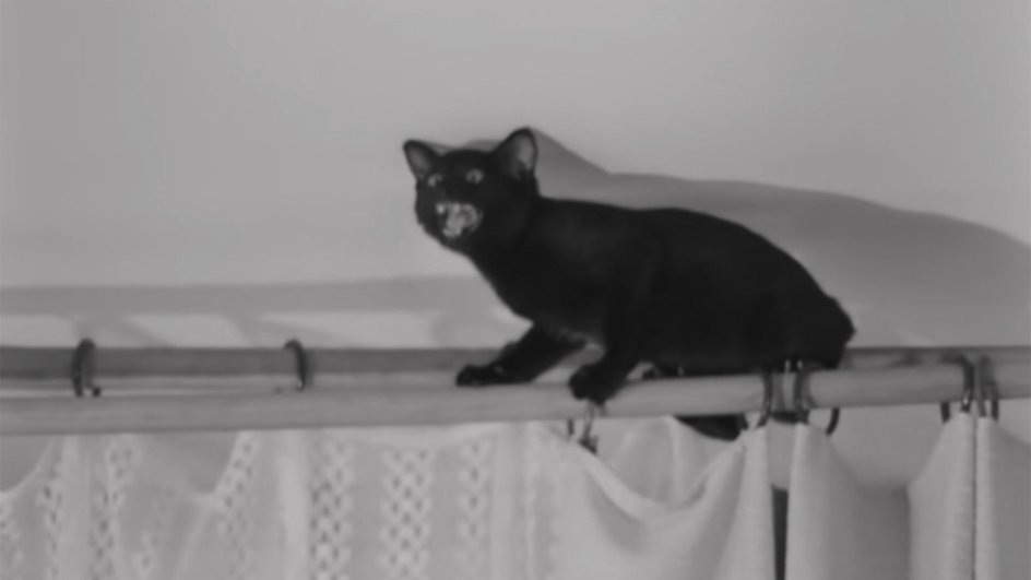 Фото: скриншот из фильма