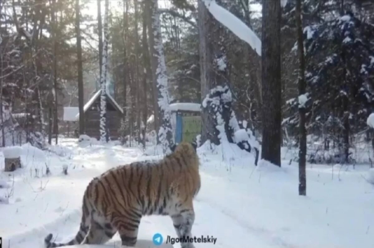    Видео было записано в совершенно другой местности и при иных условиях