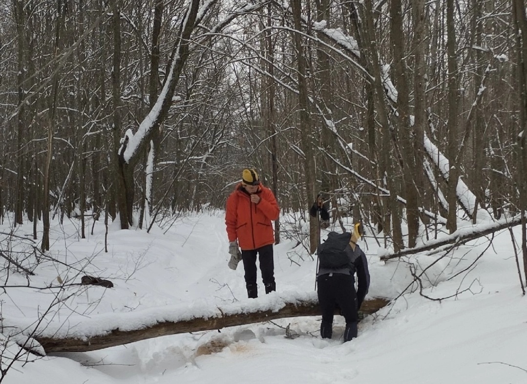 Юра и Сергей распиливают толстый ствол упавшего поперёк просеки Лыжни Политехников дерева. Фото автора.