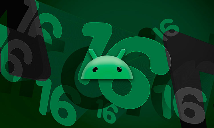 Изображение: открытые источники