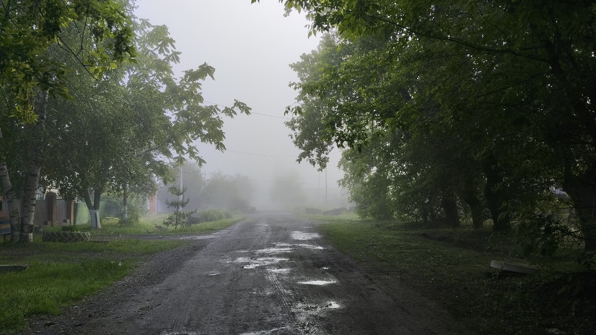 Весь прошлый год как в тумане