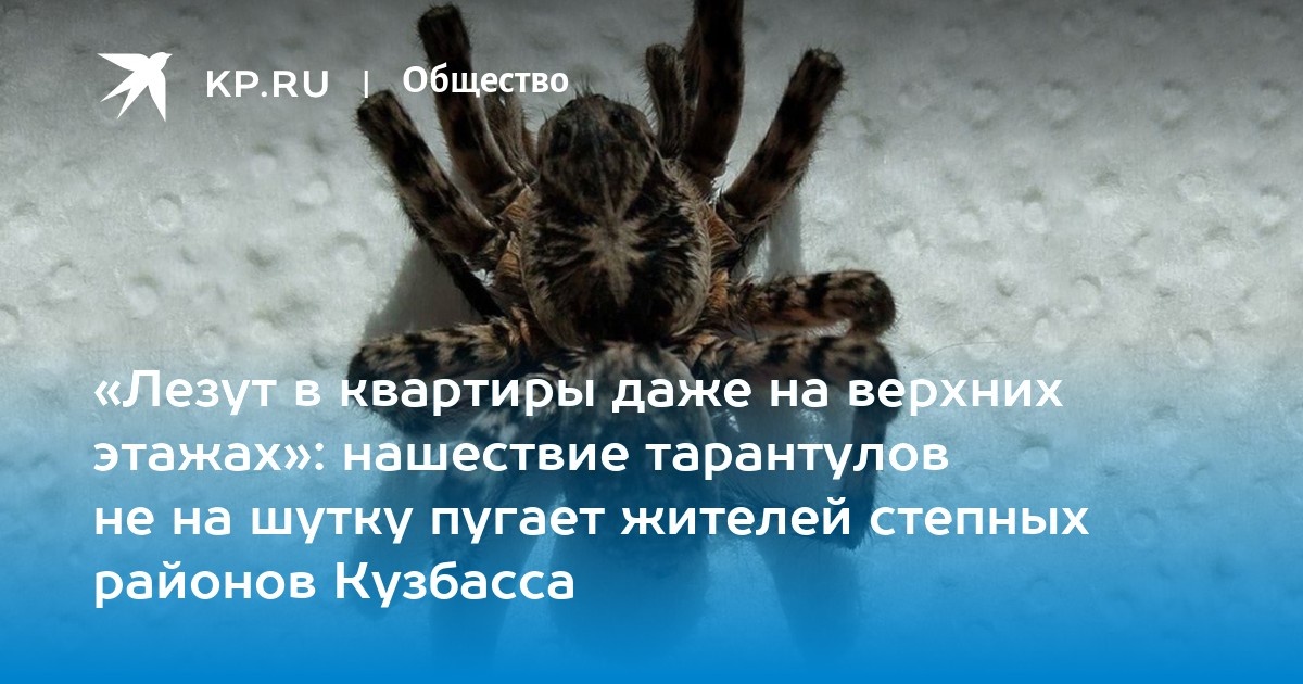 Пример подобной публикаци