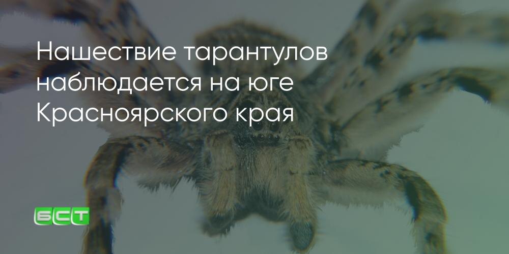 Пример подобной публикаци