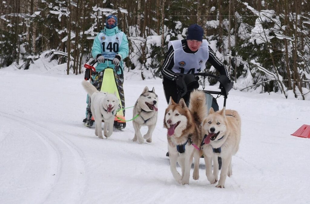    Фото: группа министерства физической культуры и спорта в сети VK Ульяна Бажанова