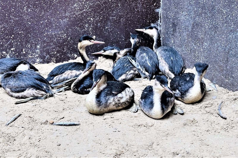    Фото: пресс-служба администрации Краснодарского края