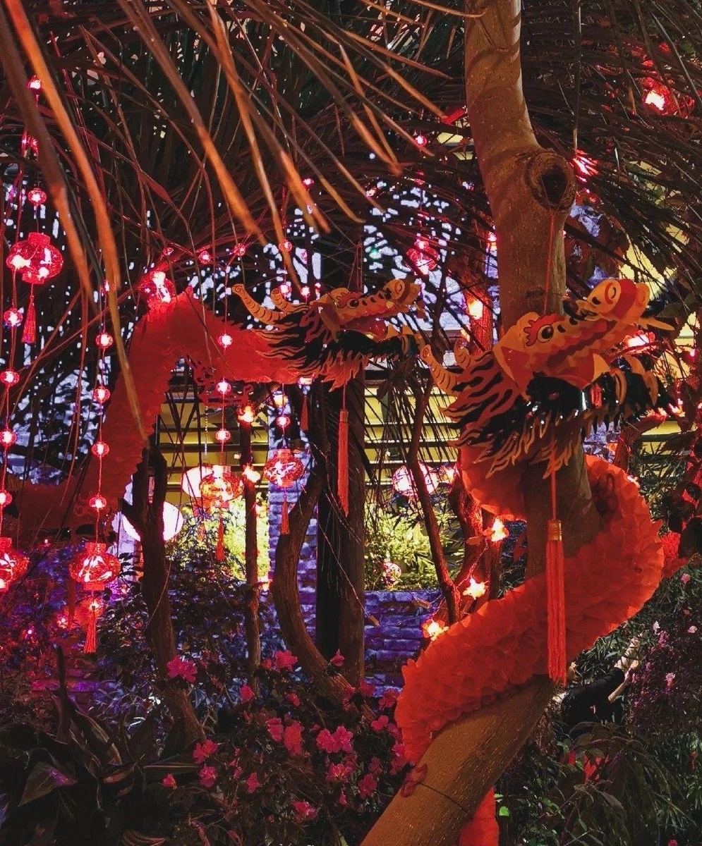 Фото с просторов интернета. Драконы в ботаническом саду «Аптекарский огород»