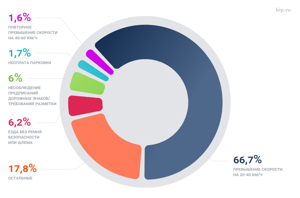    Самые частые нарушения ПДД в России за 2024 год   
bip.ru