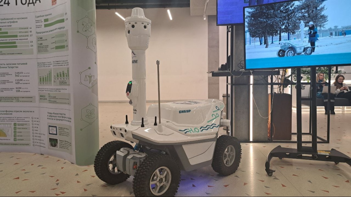 Автор фото: Дмитрий Московский / ИД «Вечерняя Казань»