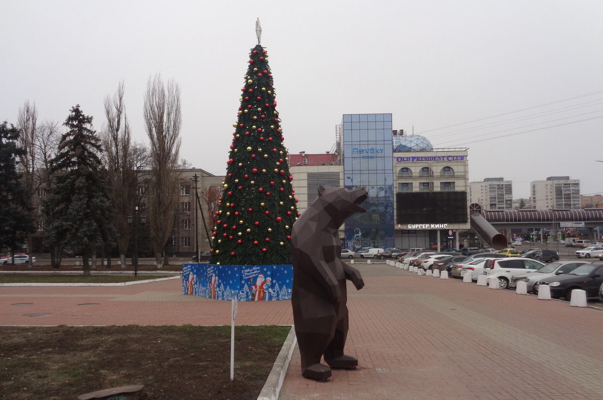 Фото автора. Январь 2025 год.