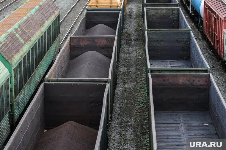 Курганские пограничники задержали иностранцев в вагоне с углем. Фото: Вадим Ахметов © URA.RU