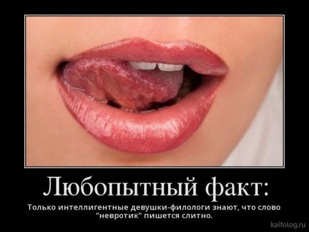 Яндекс Открытый источник 