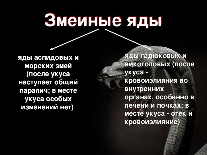 Виды яда,это если кратко (Яндекс картинки)