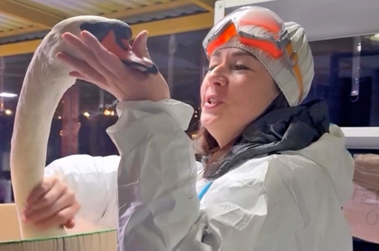 Скриншот видео социальные сети