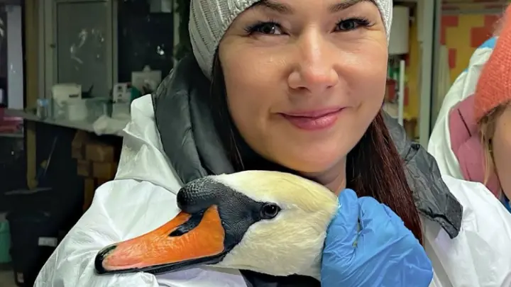 Скриншот видео социальные сети