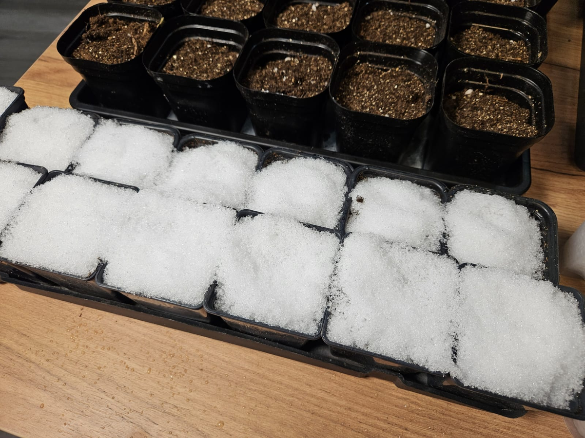 Кто помнит, как я поливал грунт снегом?)) Тоже, кстати, отличный вариант