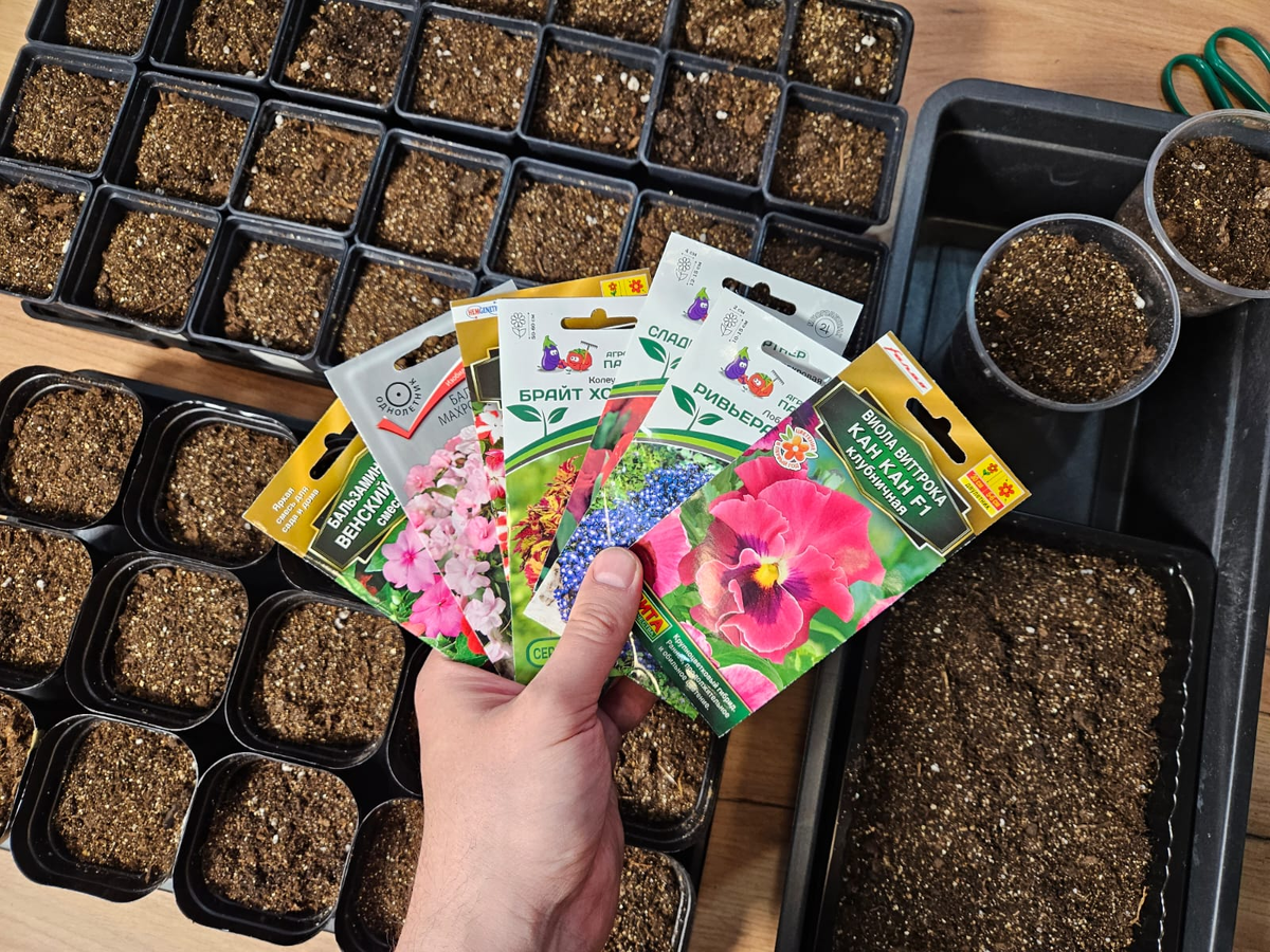 Уже совсем скоро начнём новый сезон