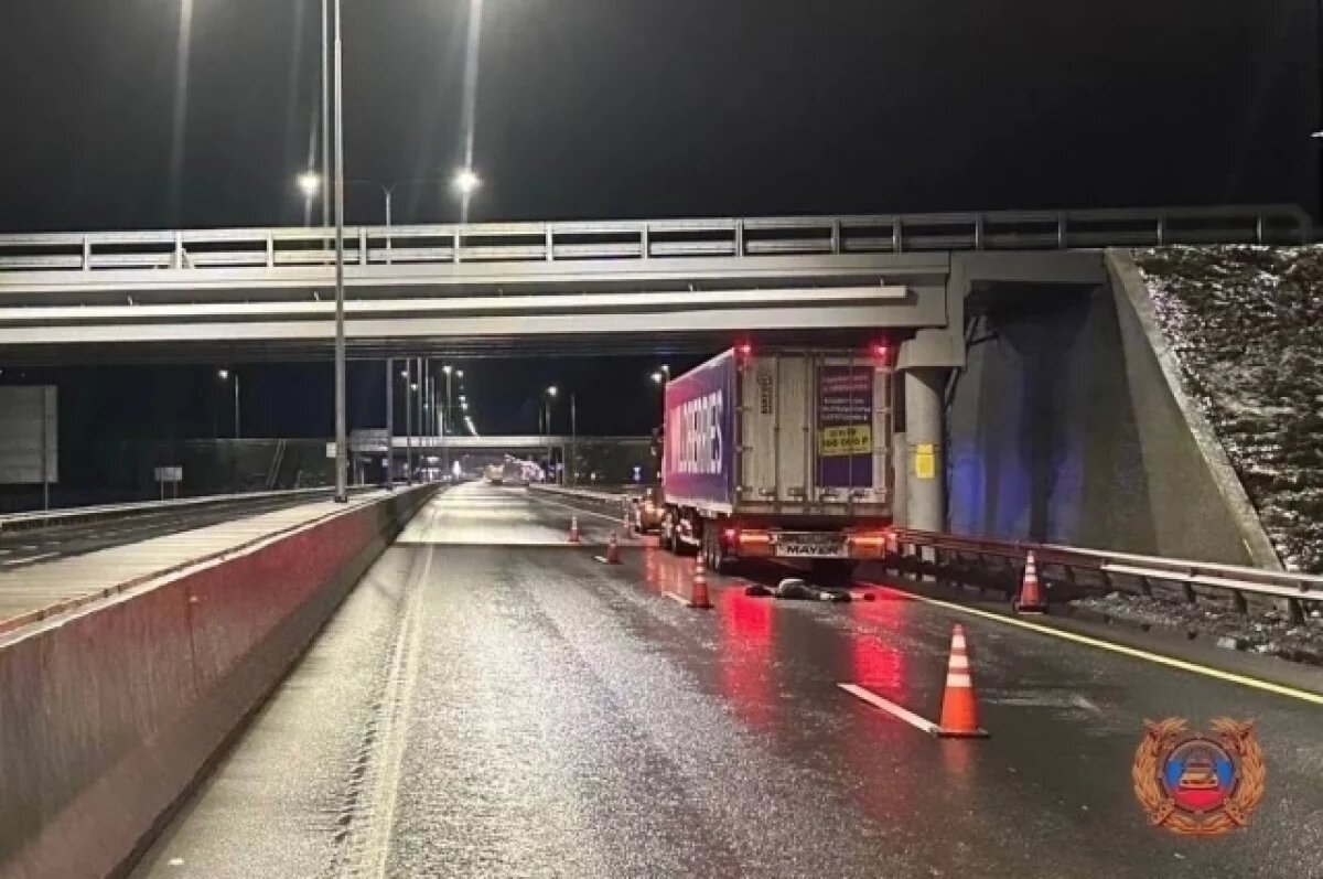    Под Тверью на М-11 сбили мужчину, перебегавшего дорогу