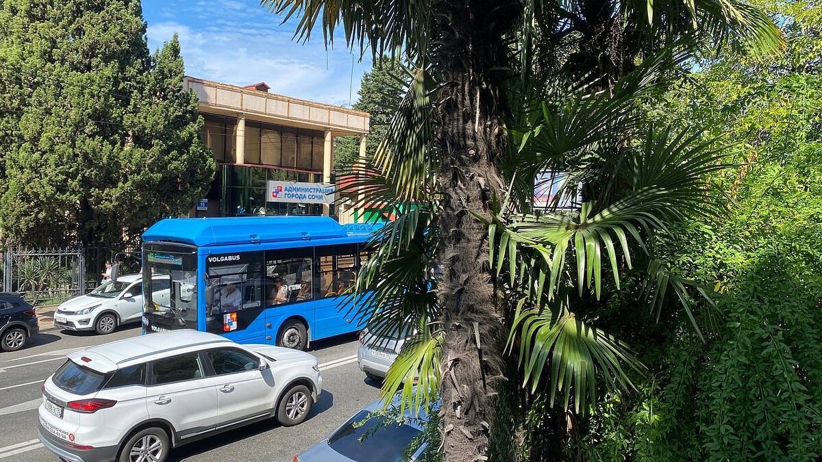    Фото: телеканал «Краснодар»