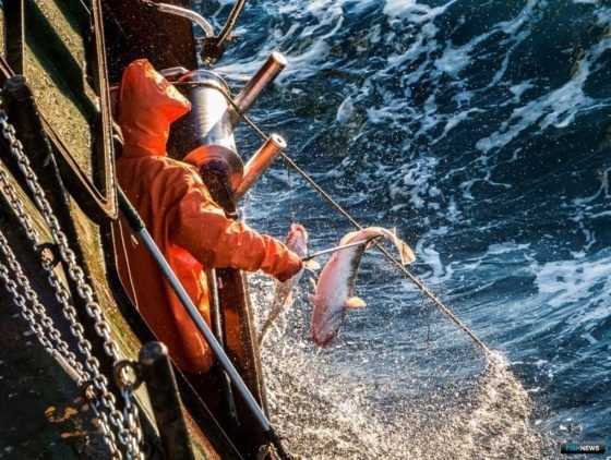     Фото: РК «Восток-1».