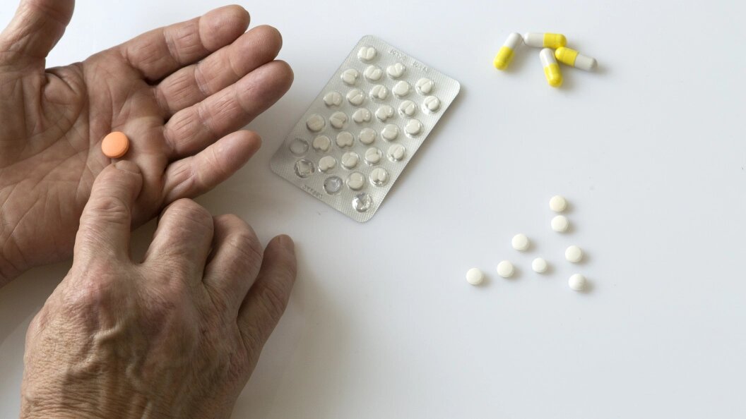    Фото: Nikolay Gyngazov/Globallookpress