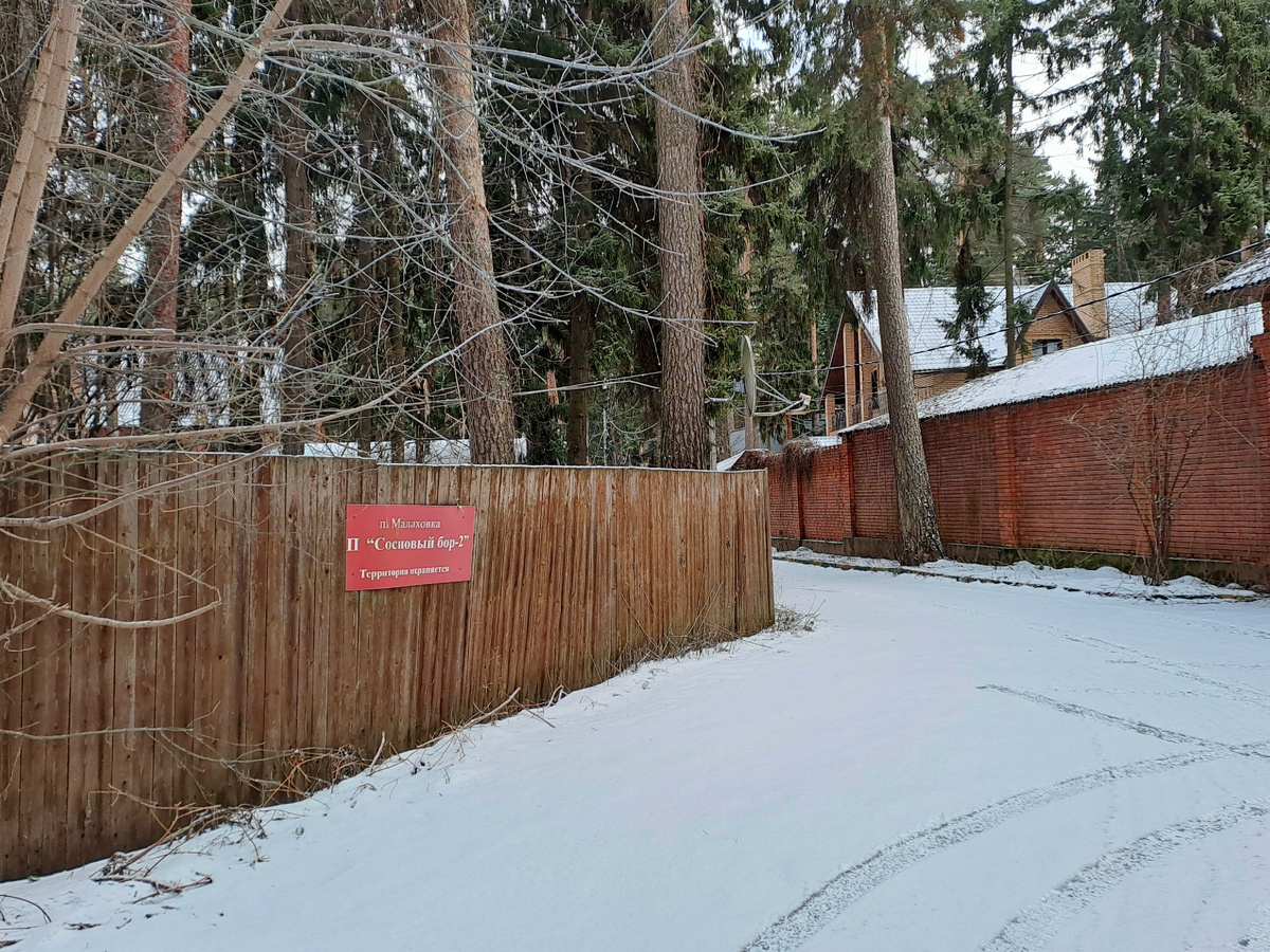 В посёлок Малаховка. Сосновый бор-2.