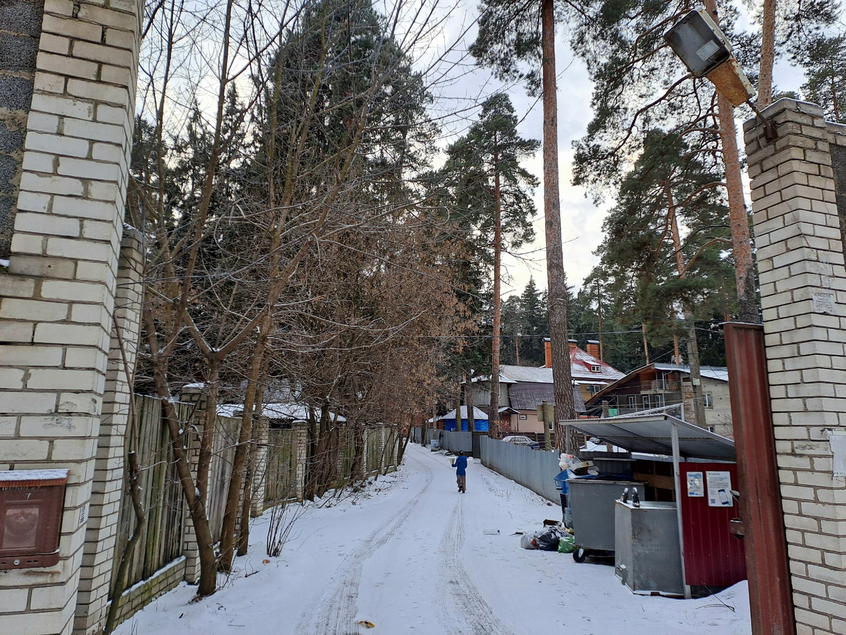 Вот эта фигурка на дороге и есть та прислуга с букетами.