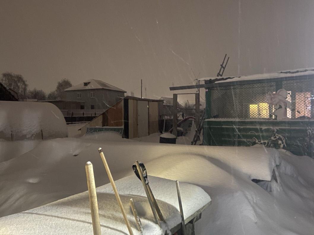  Фото предоставлено СУ СКР по Тюменской области