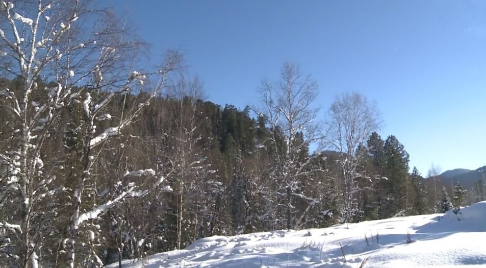 Фото: «Толк»